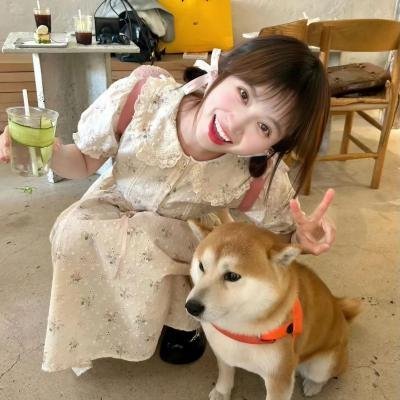 有组织的工作